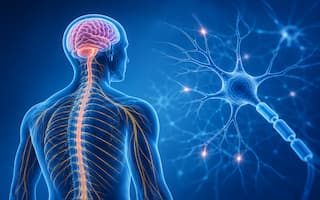Neurological physiotherapy home treatment